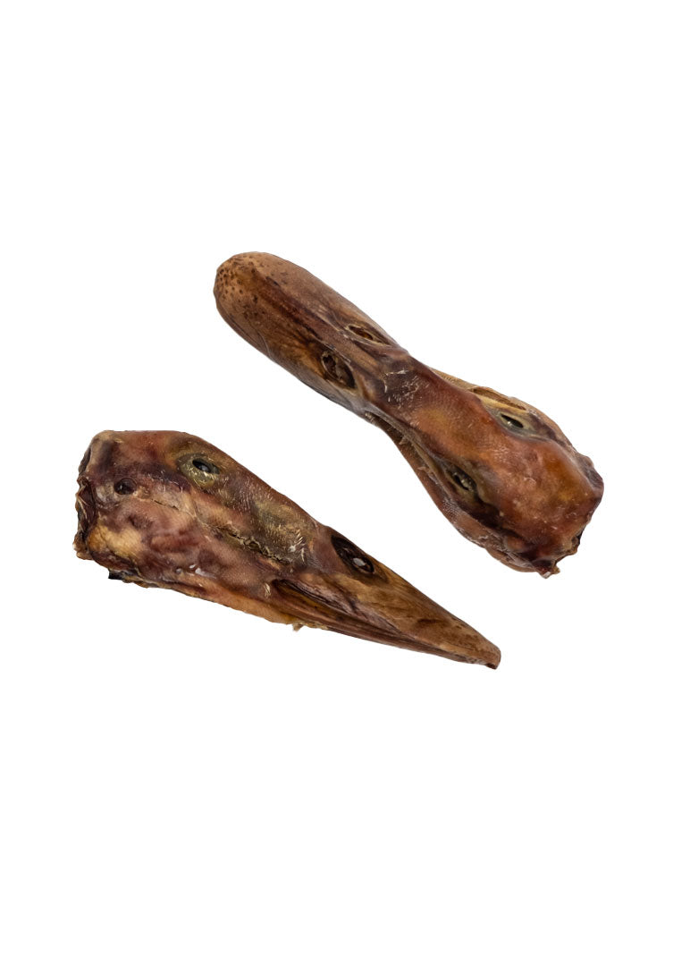 Duck Head