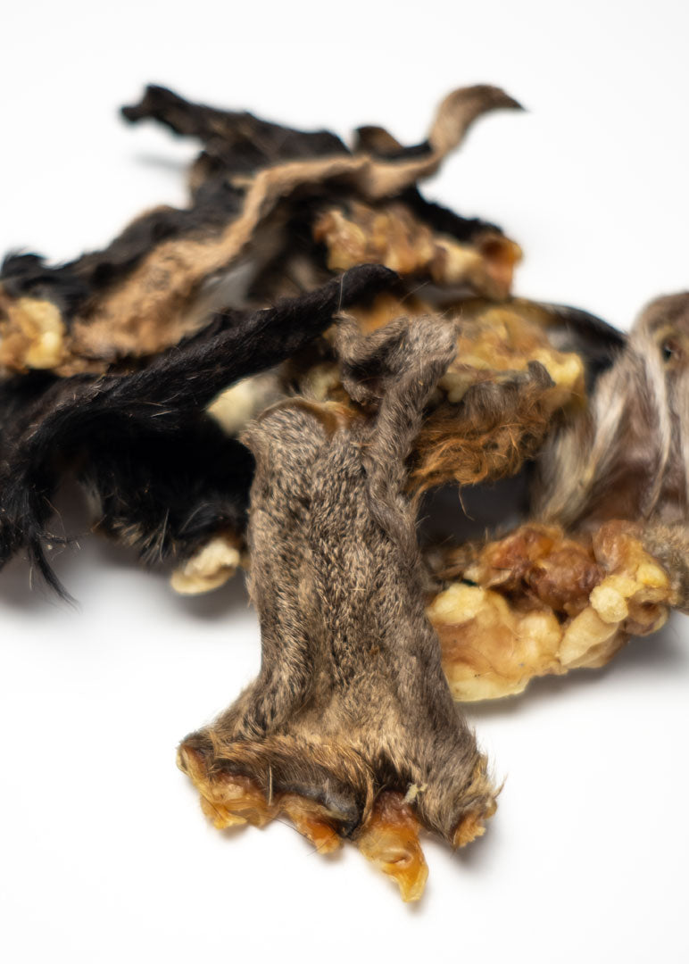 Goat Ear