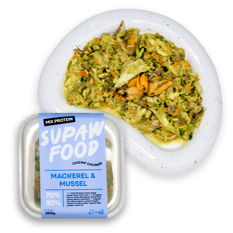 Mackerel & Mussel Recipe