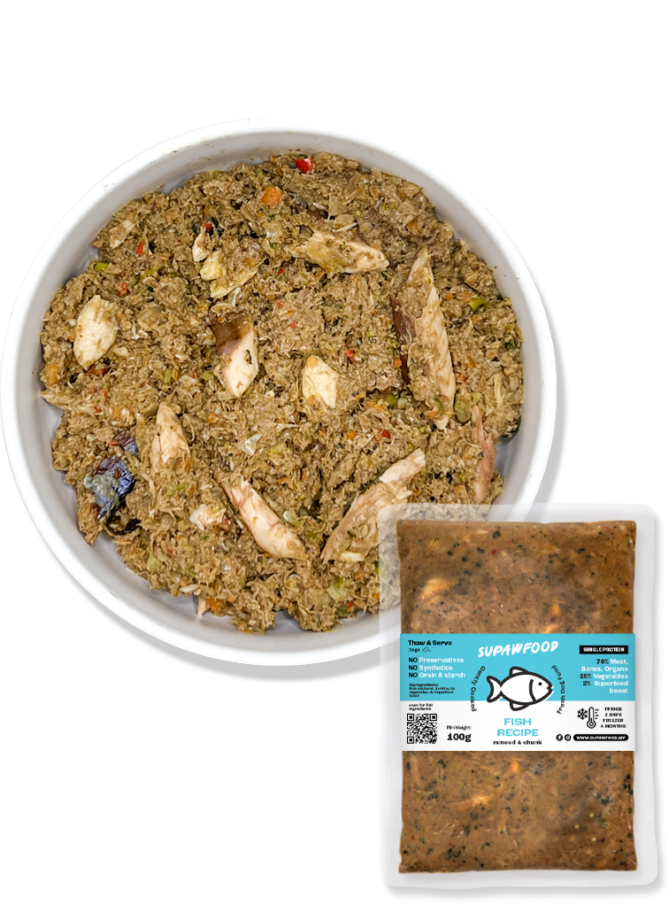 Fish Recipe