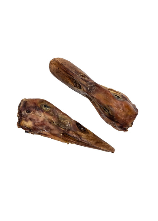 Duck Head