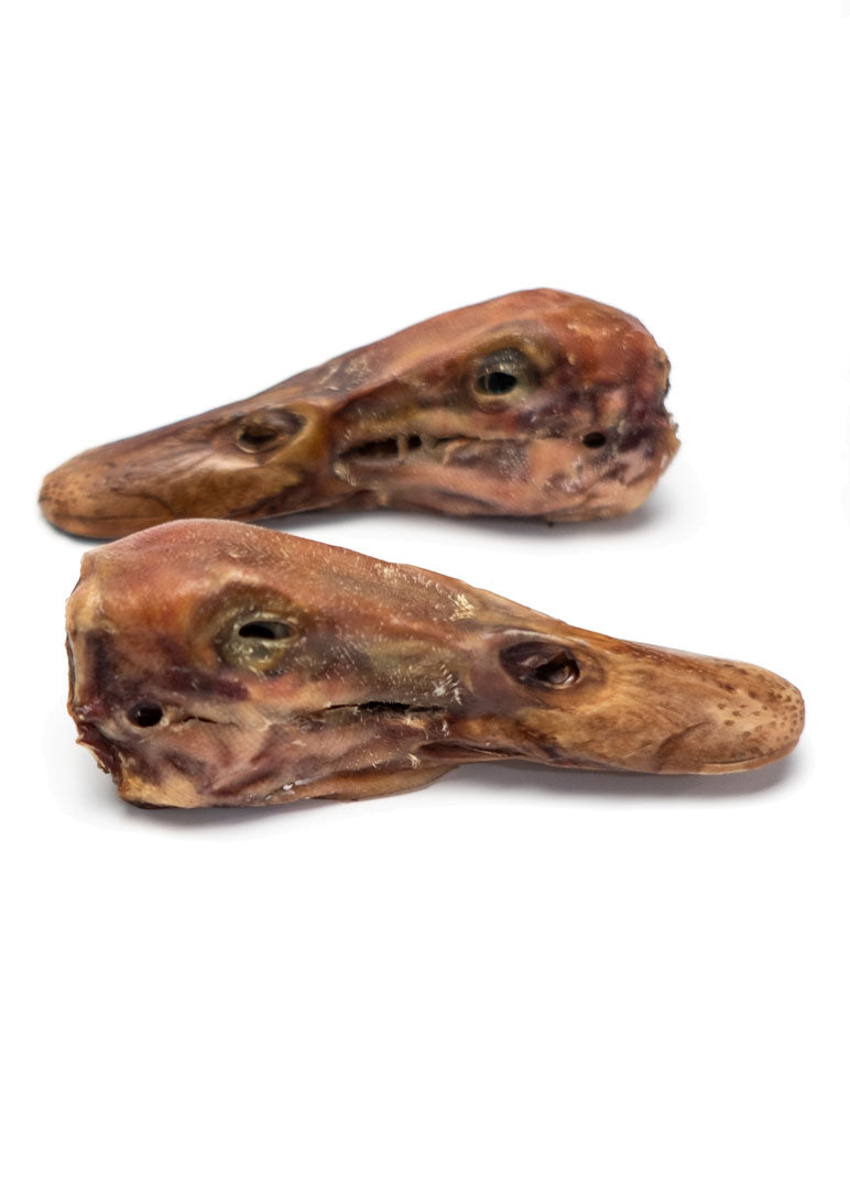 Duck Head