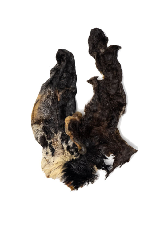 Goat Ear
