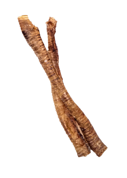 Goat Trachea