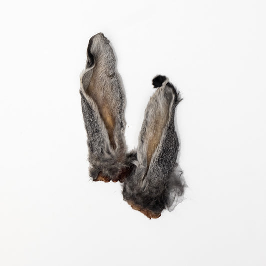 Rabbit Ear